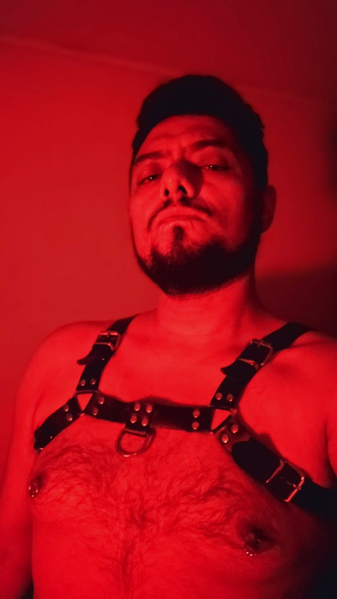 Chilean Taurus 🦬🔥16K tweet media