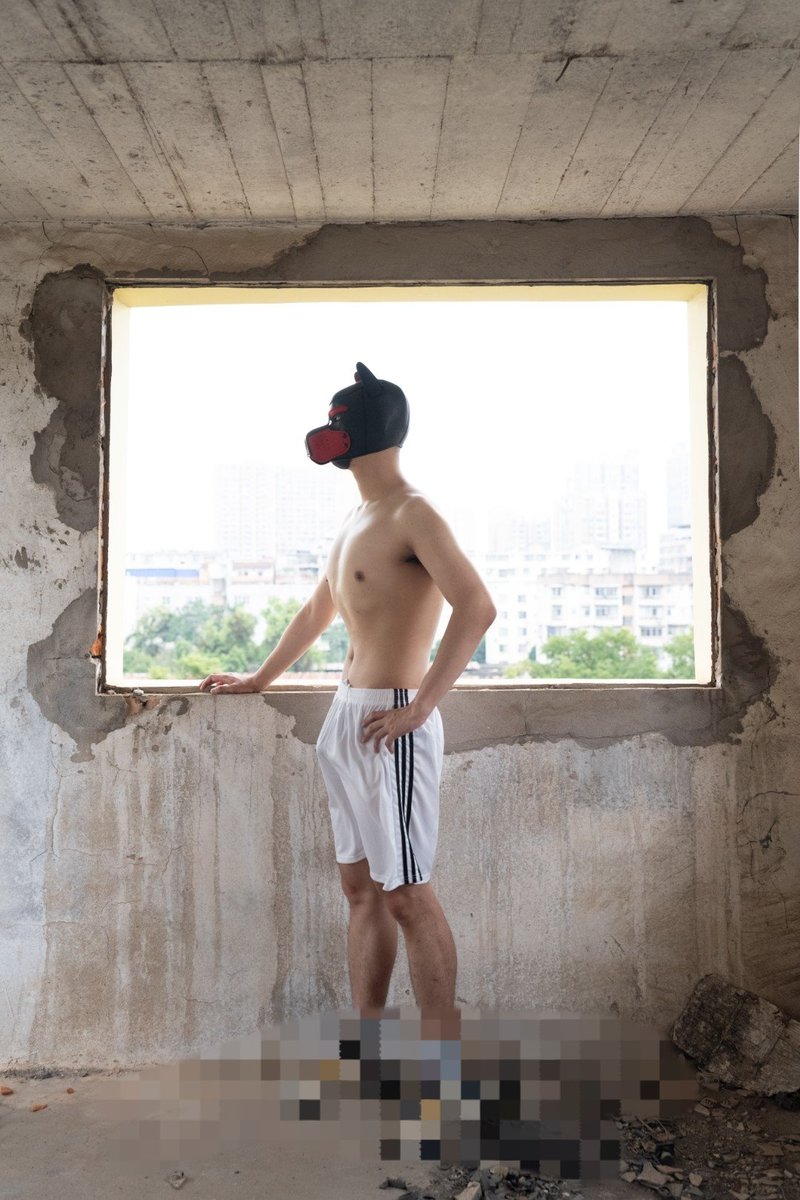 逗豆豆 tweet media