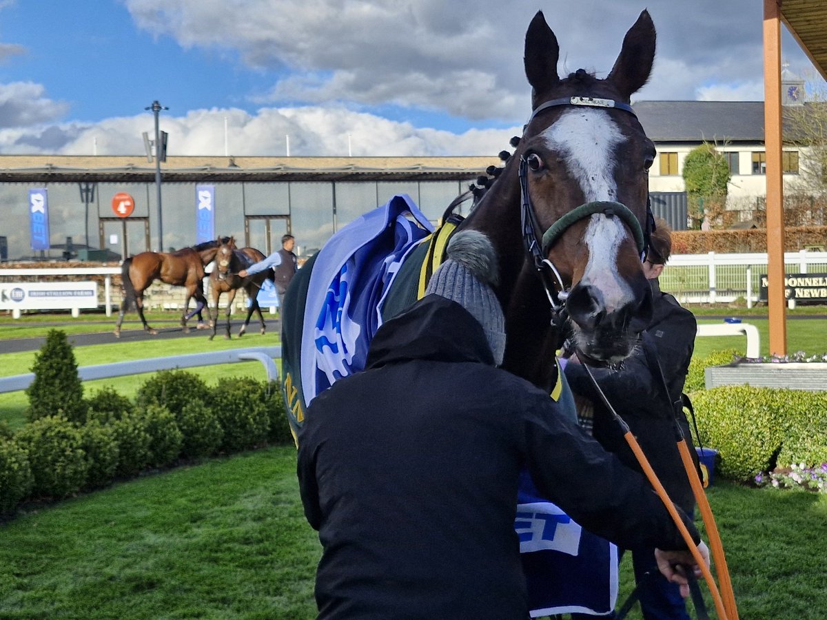 SportsNewsIRE's tweet photo. Layfayette (10/1) completes a double @curraghrace for @tuvastables and @ctkjockey as the nine-year-old takes the finale https://t.co/Vv8R9xPkqe