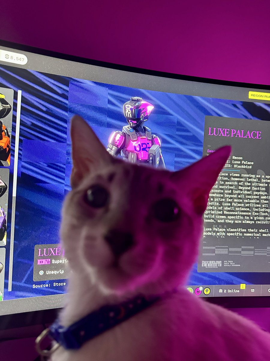 Fern ₍^._.^₎ 𐒡 tweet media