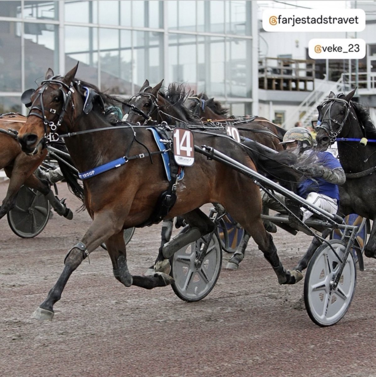 Veikko Haapakangas tweet media