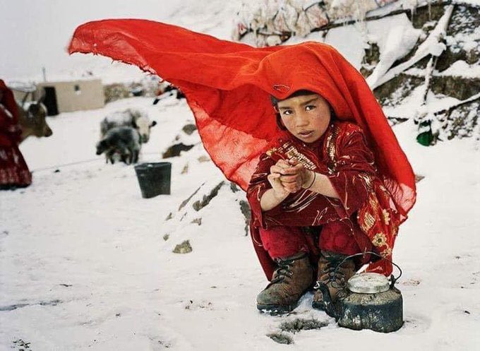 Feson Shokoory tweet media