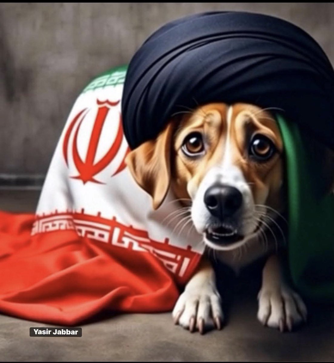 Ibrahim s s tweet media