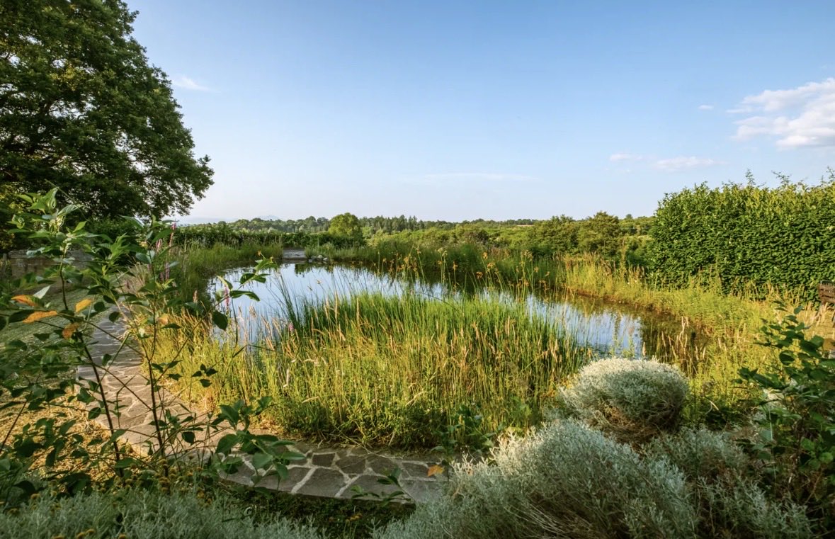 Bio Clean Lake Key feature: • Bio-lake (20x10 m) → natural ecosystem → no chemicals → ...
