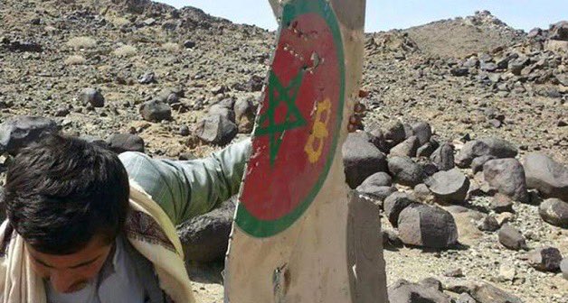 أحمد حفصي || HAFSI AHMED tweet media