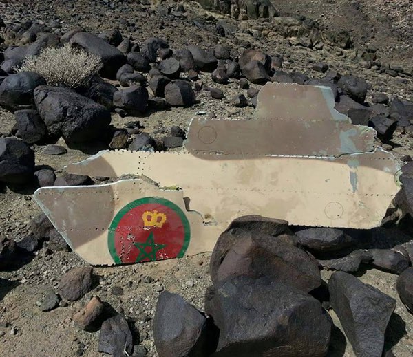 أحمد حفصي || HAFSI AHMED tweet media