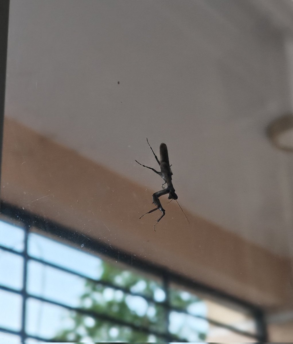 radz👩🏾‍🎨 tweet media