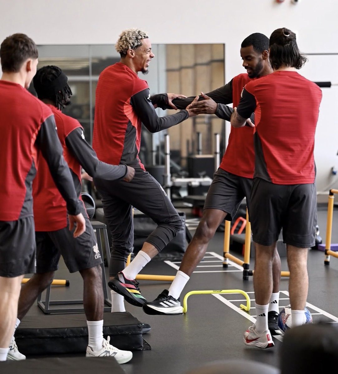 Braden (Fan) 🐦‍🔥 tweet media