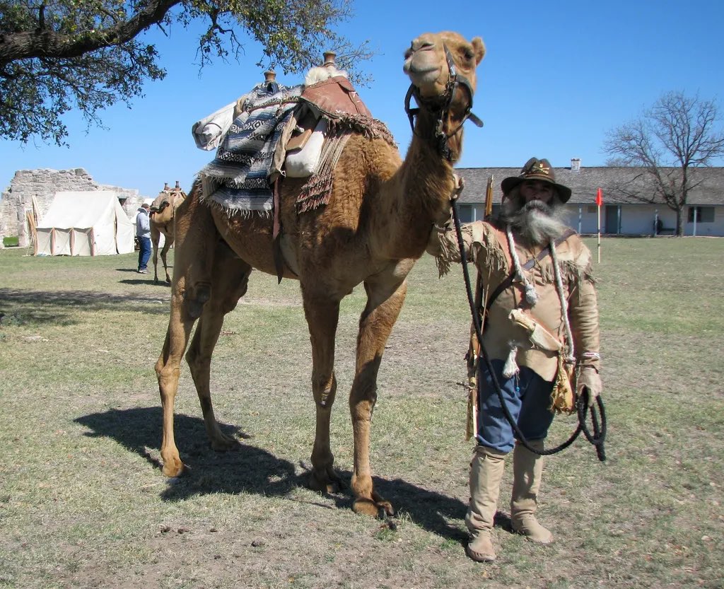 60 Seconds tweet media