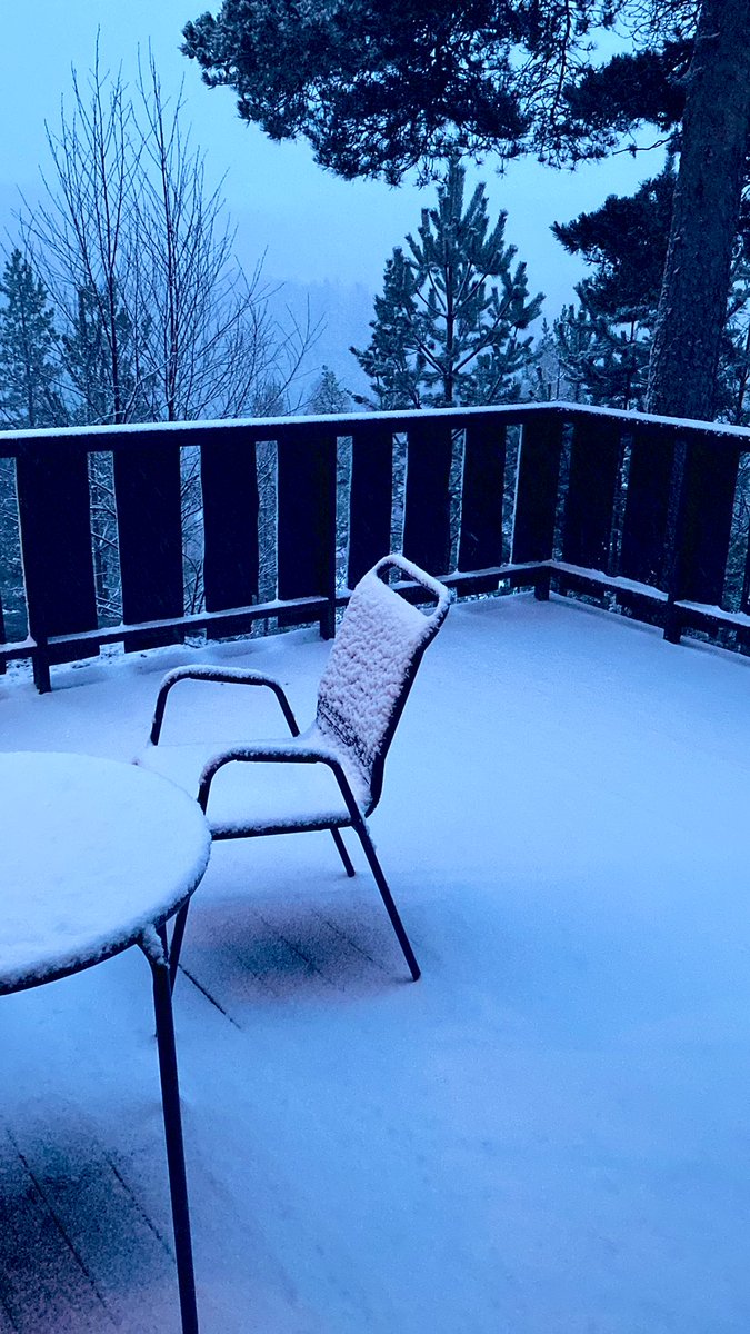 Erika ✝︎ 🇳🇴 tweet media