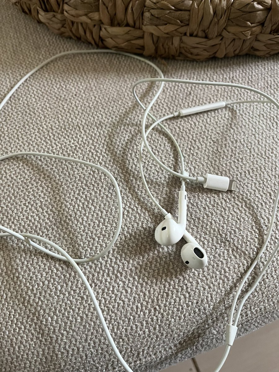 Echo Bravo🎹 tweet media