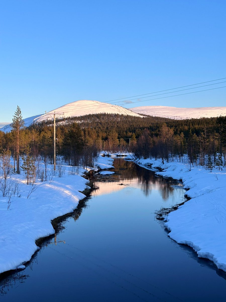 Sanna Jääskeläinen tweet media