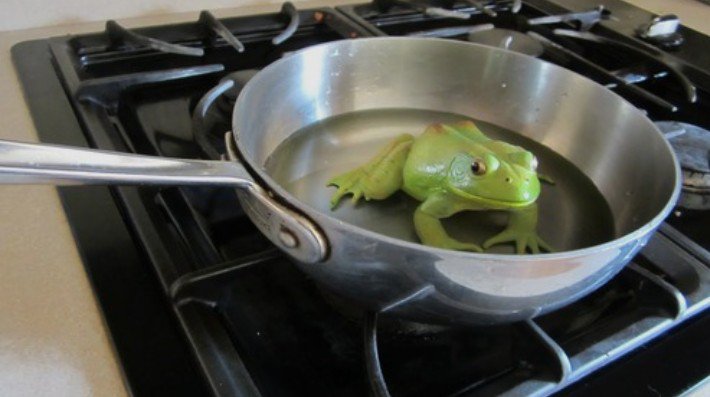 Your Favorite Neighbor tweet media