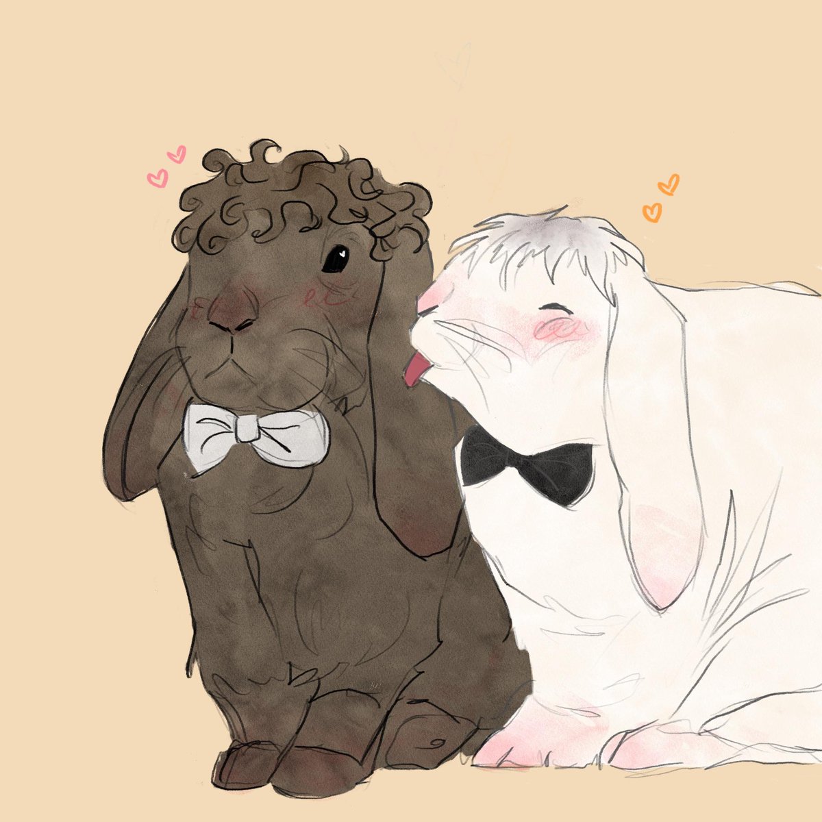 folky⚞ • ⚟ tweet media