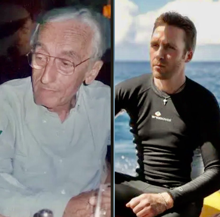 Hemarina tweet media