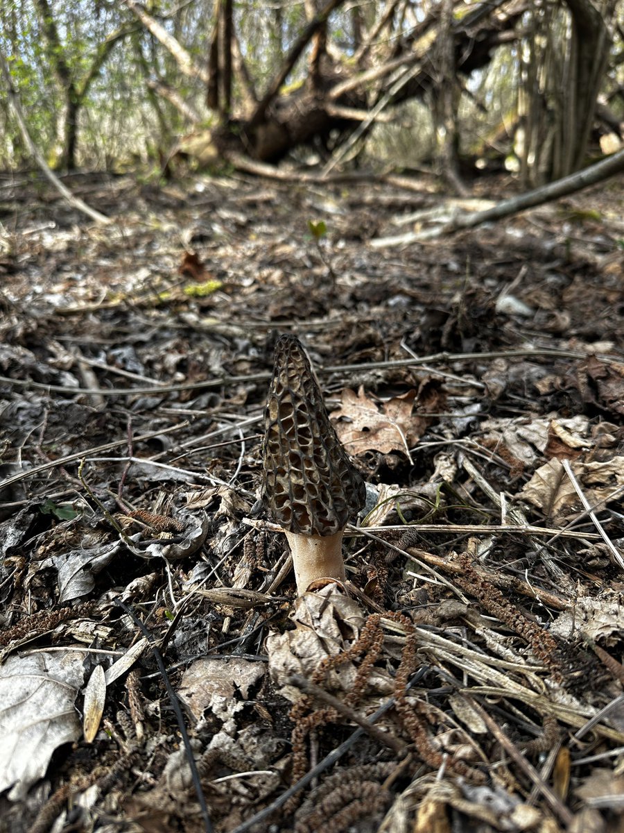 Trax51.hl 🫕🧀🏝 tweet media