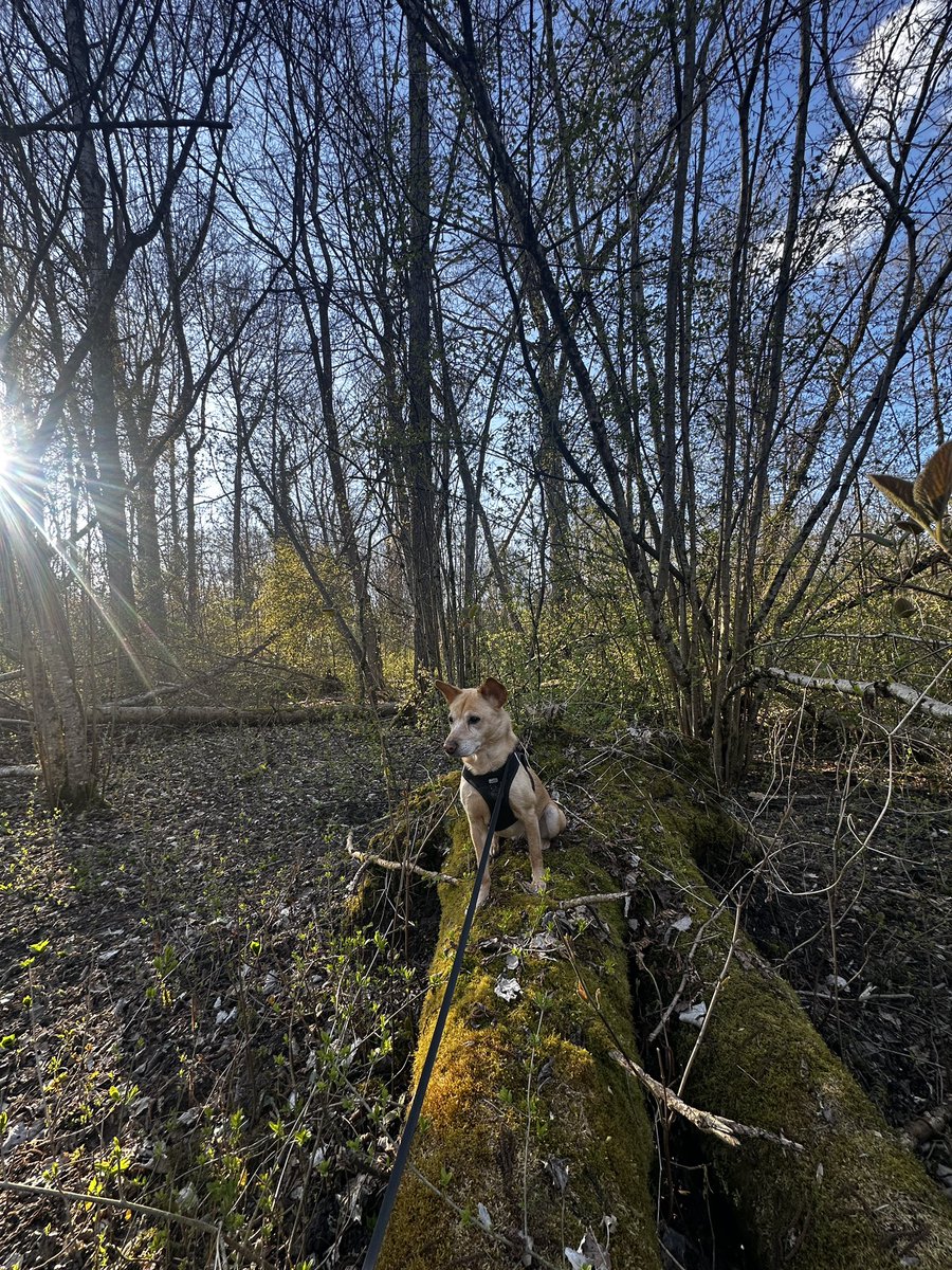 Trax51.hl 🫕🧀🏝 tweet media