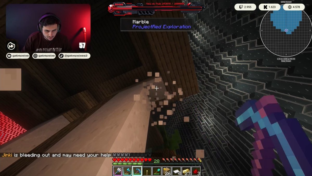 Thay🐠🌻💛 apoie.arkanis.com.br tweet media