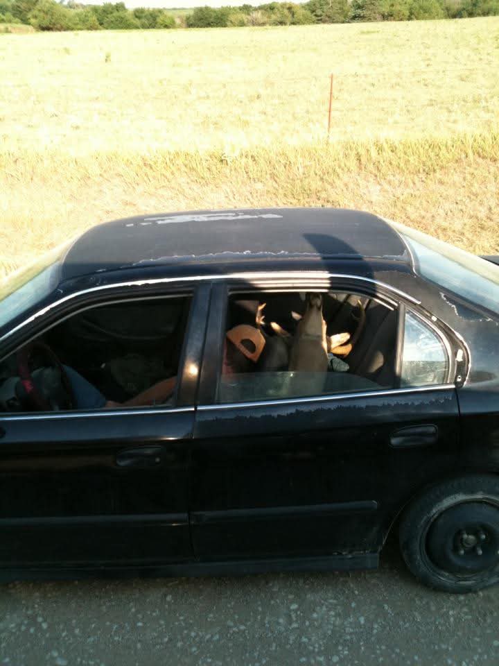 Jay Blazer tweet media