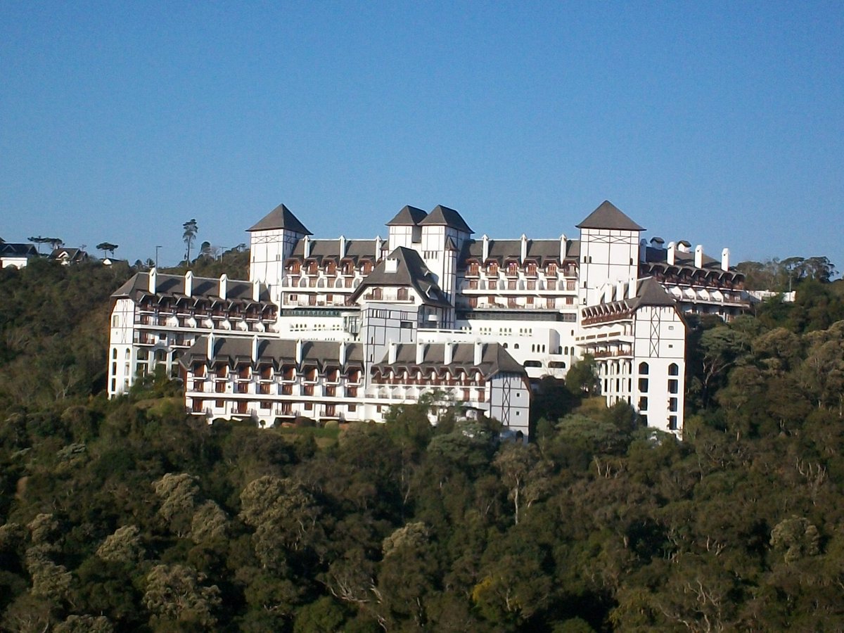 Caio Felipe⚔️ 🇾🇪🏛️🗿🗽 tweet media