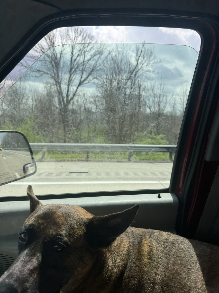 Harry Hemp tweet media