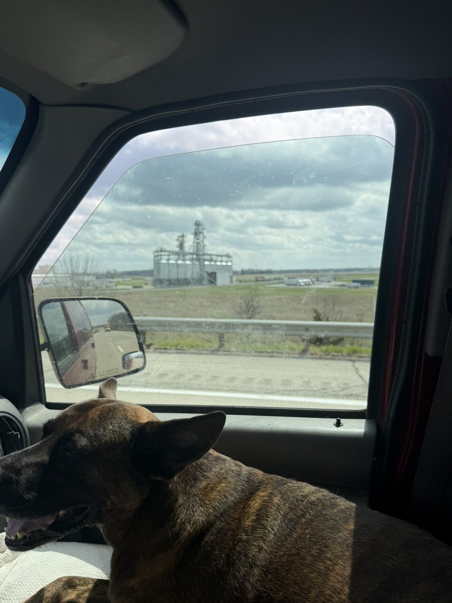 Harry Hemp tweet media