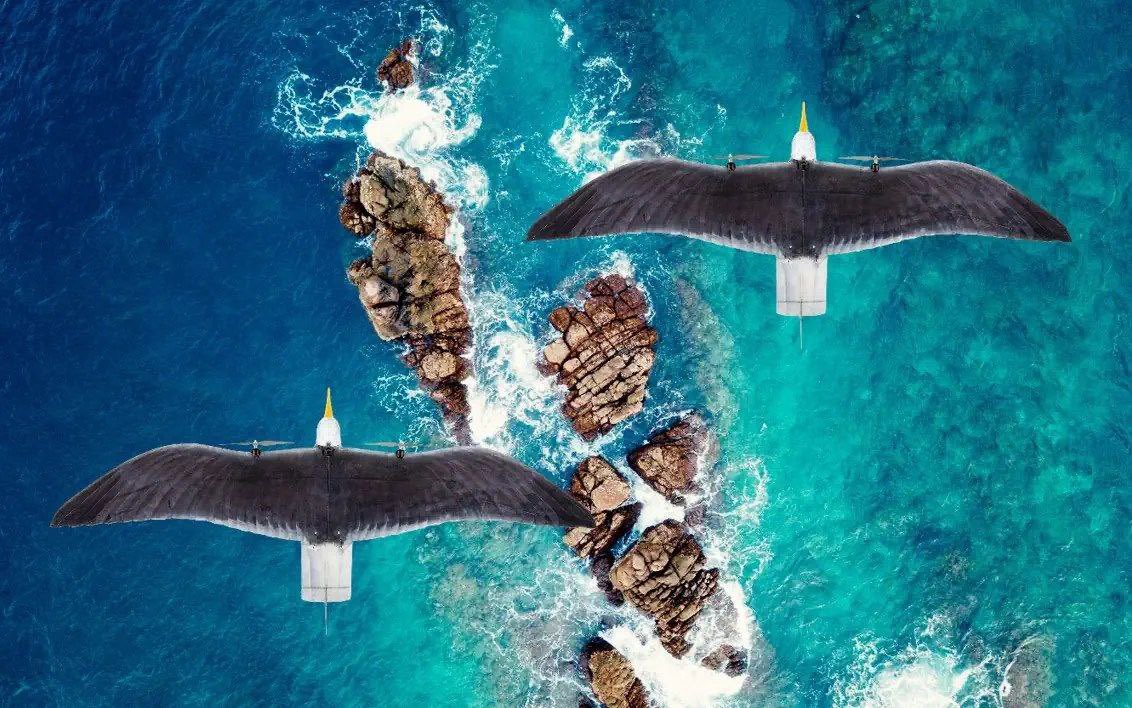 Drone_Wars_'s tweet image. Dutch company Guard From Above has reportedly developed the Seagull Evo, a biomimetic drone designed to resemble and fly like a real seagull.
#Netherlands #UAV #DroneTech #Recon