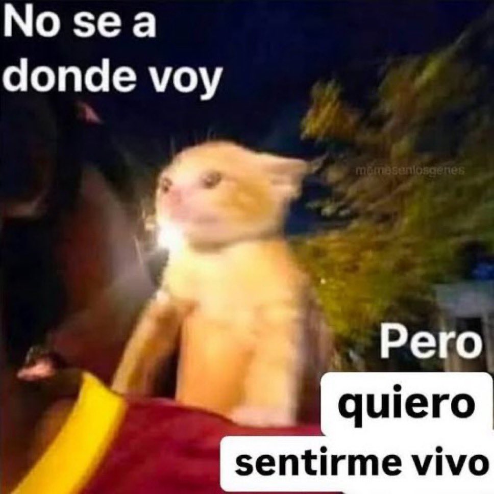 yo qué sé tweet media