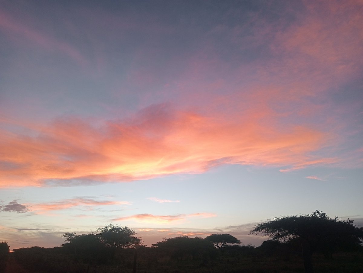 Golden hour in Kajiado 🤩