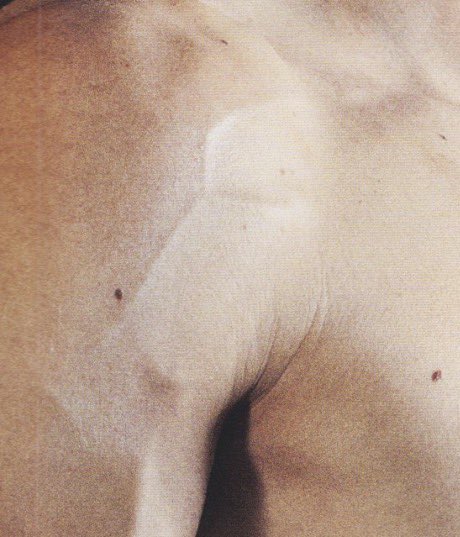 agustorrie's tweet image. #yum