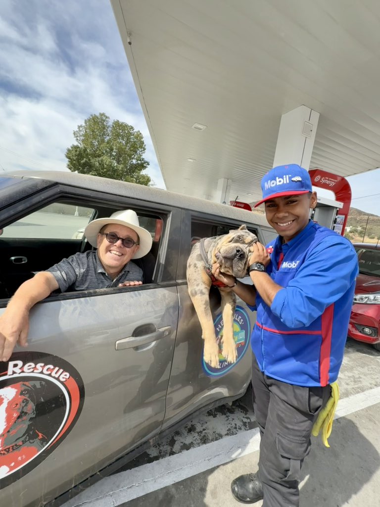 Luigi Shorty Rossi tweet media