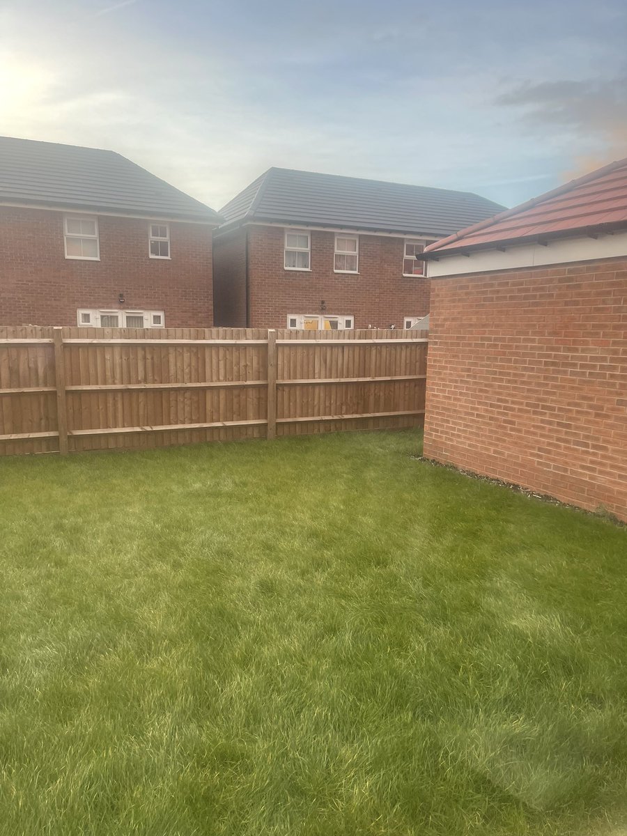 Tosin Olugbenga tweet media