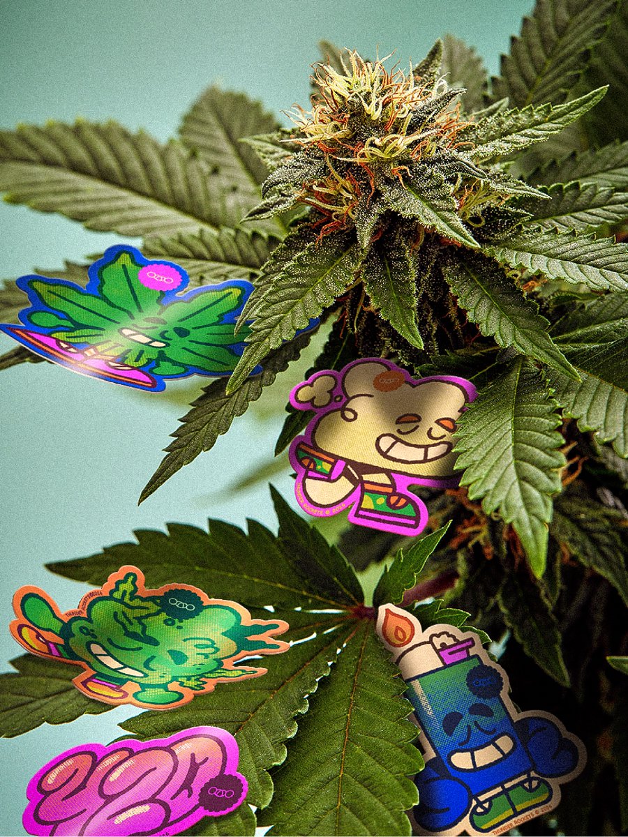 Thunder Rockets tweet media