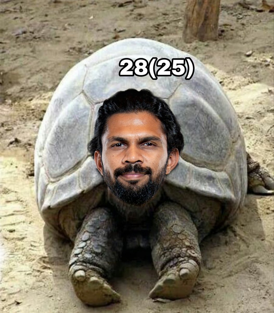 ℝ𝕖𝕥𝕚𝕣𝕖𝕕 𝕀ℙ𝕃 𝔽𝕒𝕟  tweet media