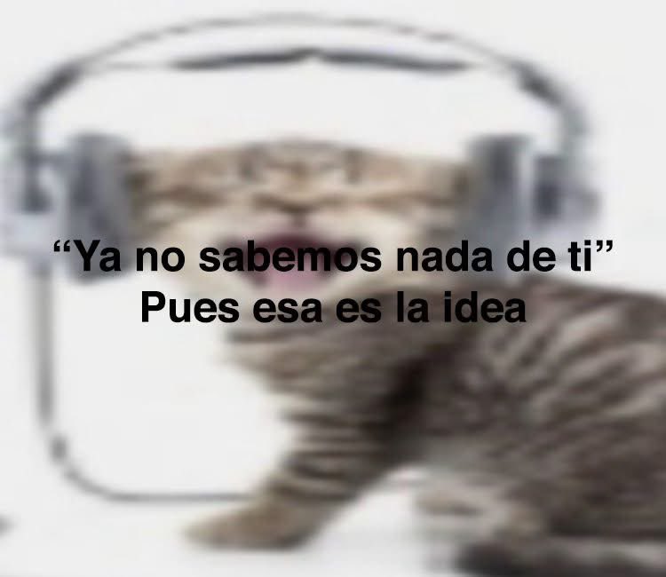 yo qué sé tweet media