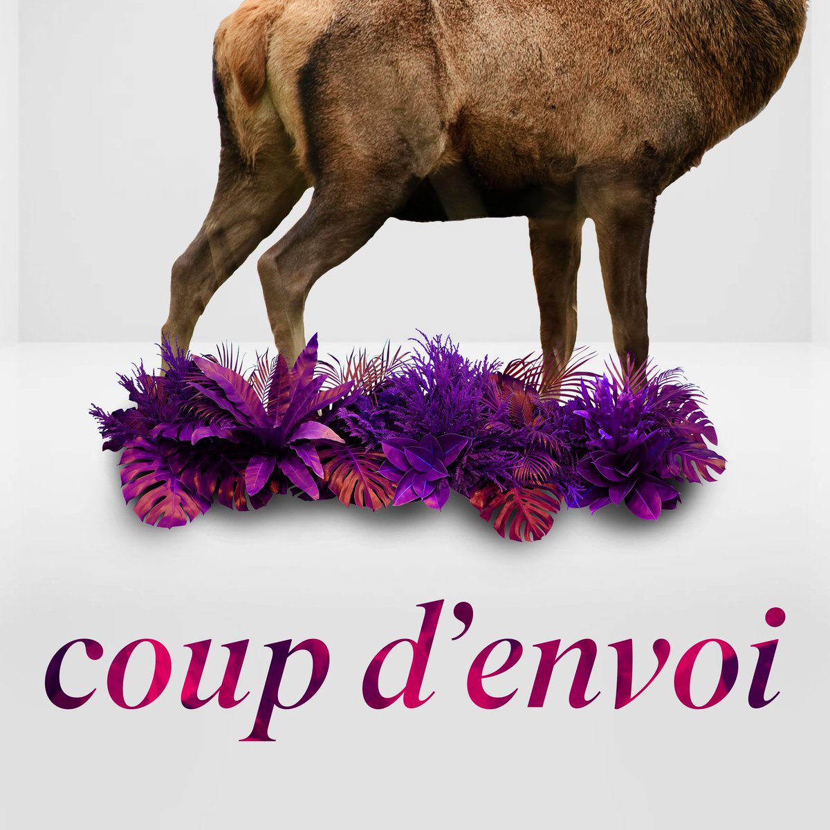 🟣𝓭𝓮𝓮𝓻𝓼𝓹𝓸𝓻𝓽🟣 tweet media