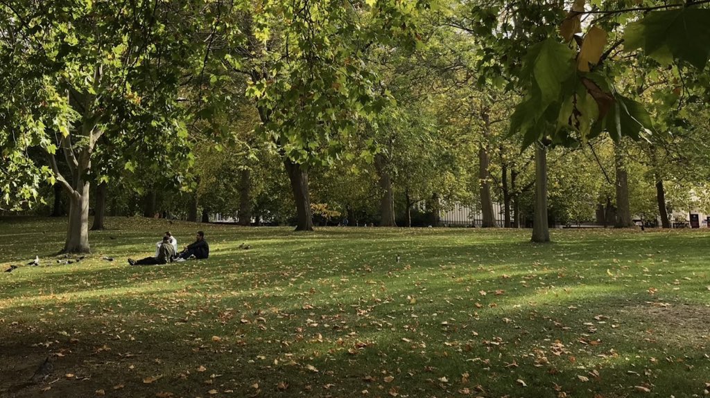 까눌레 tweet media