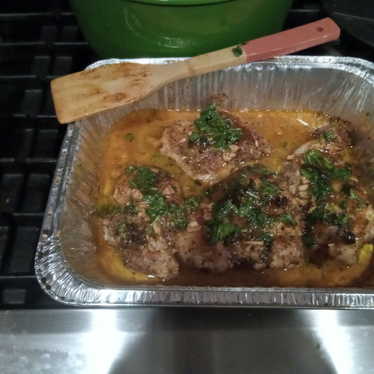 Benny the cat tweet media