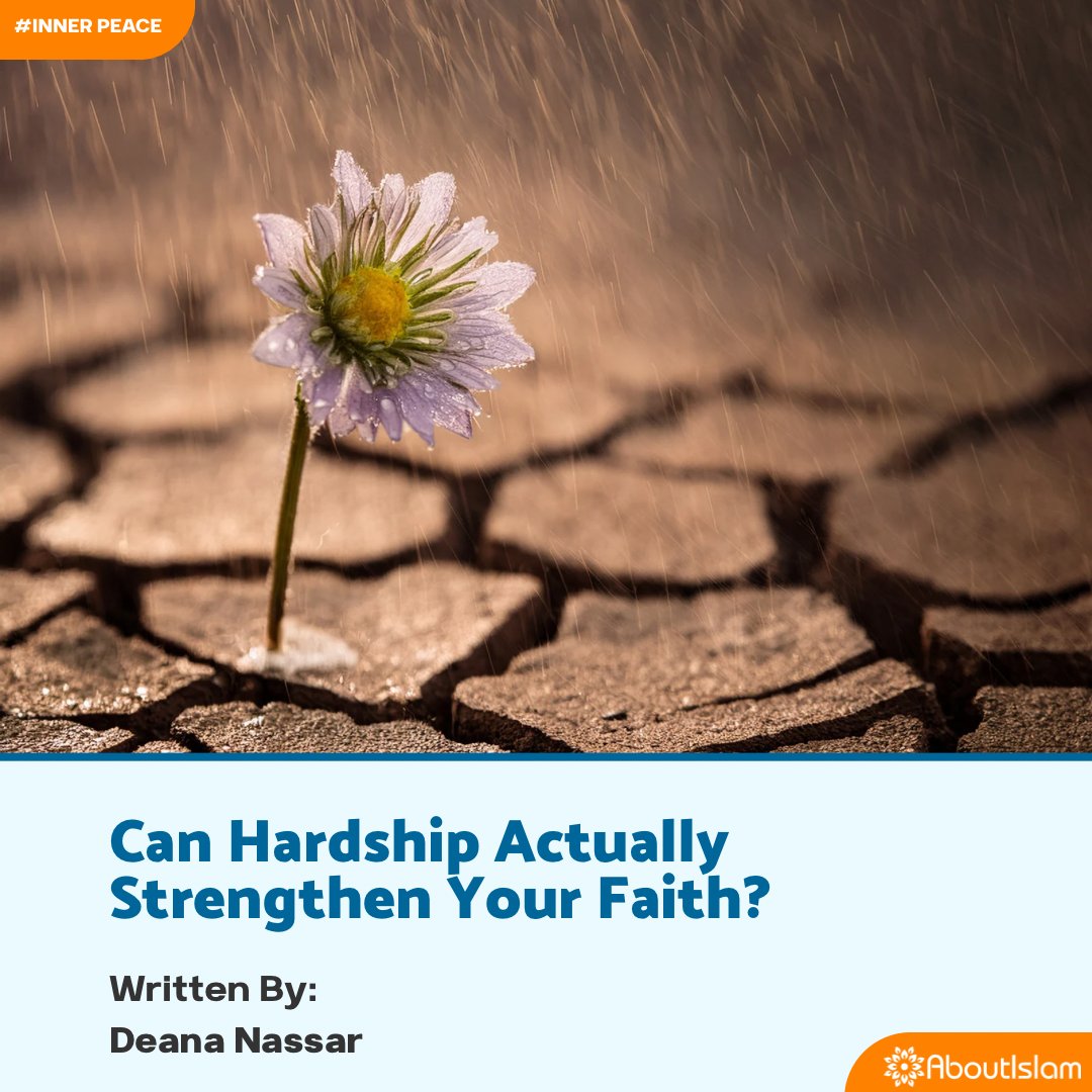 About Islam tweet media