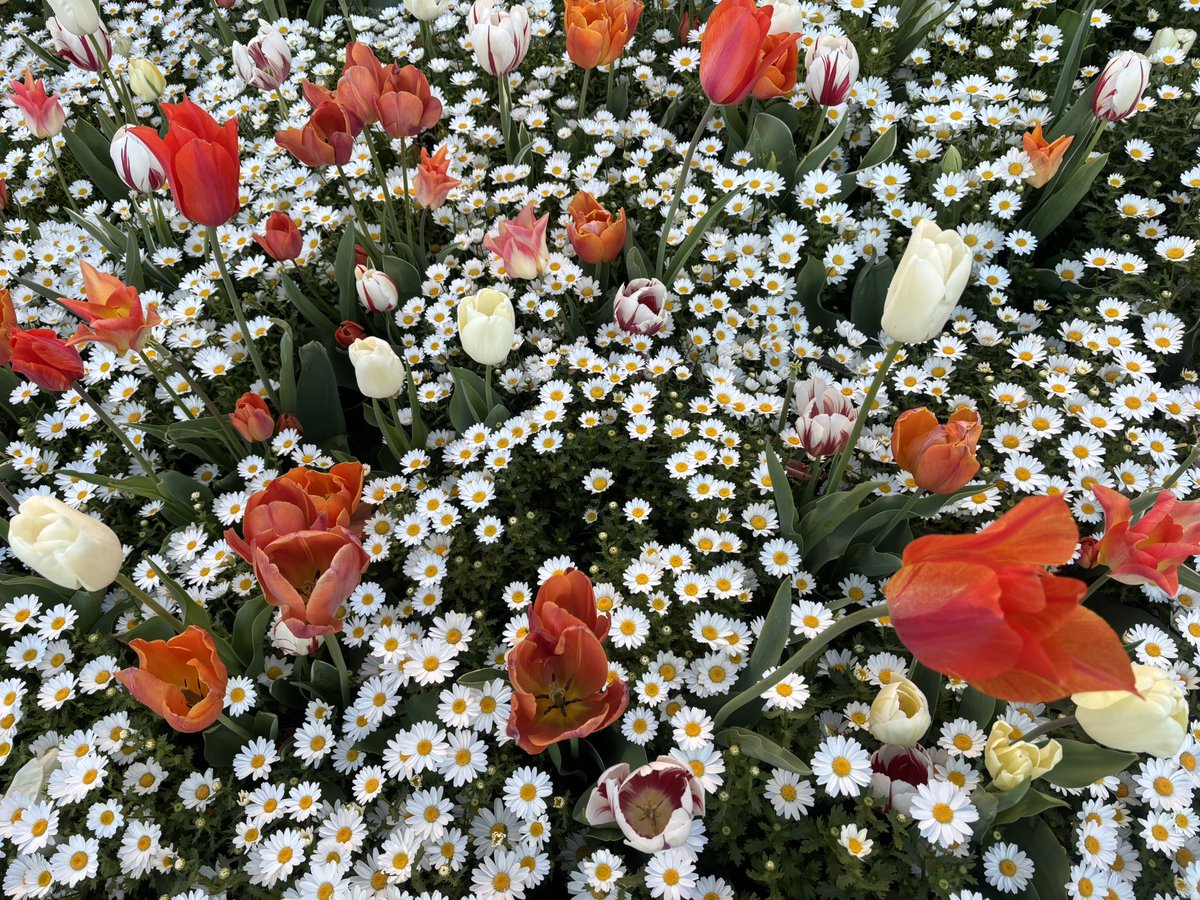 jimenaa🤸🏼‍♀️ tweet media