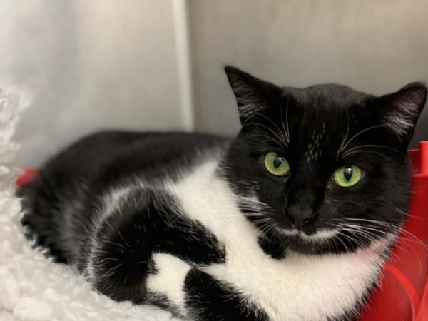 Greenacres Rescue tweet media