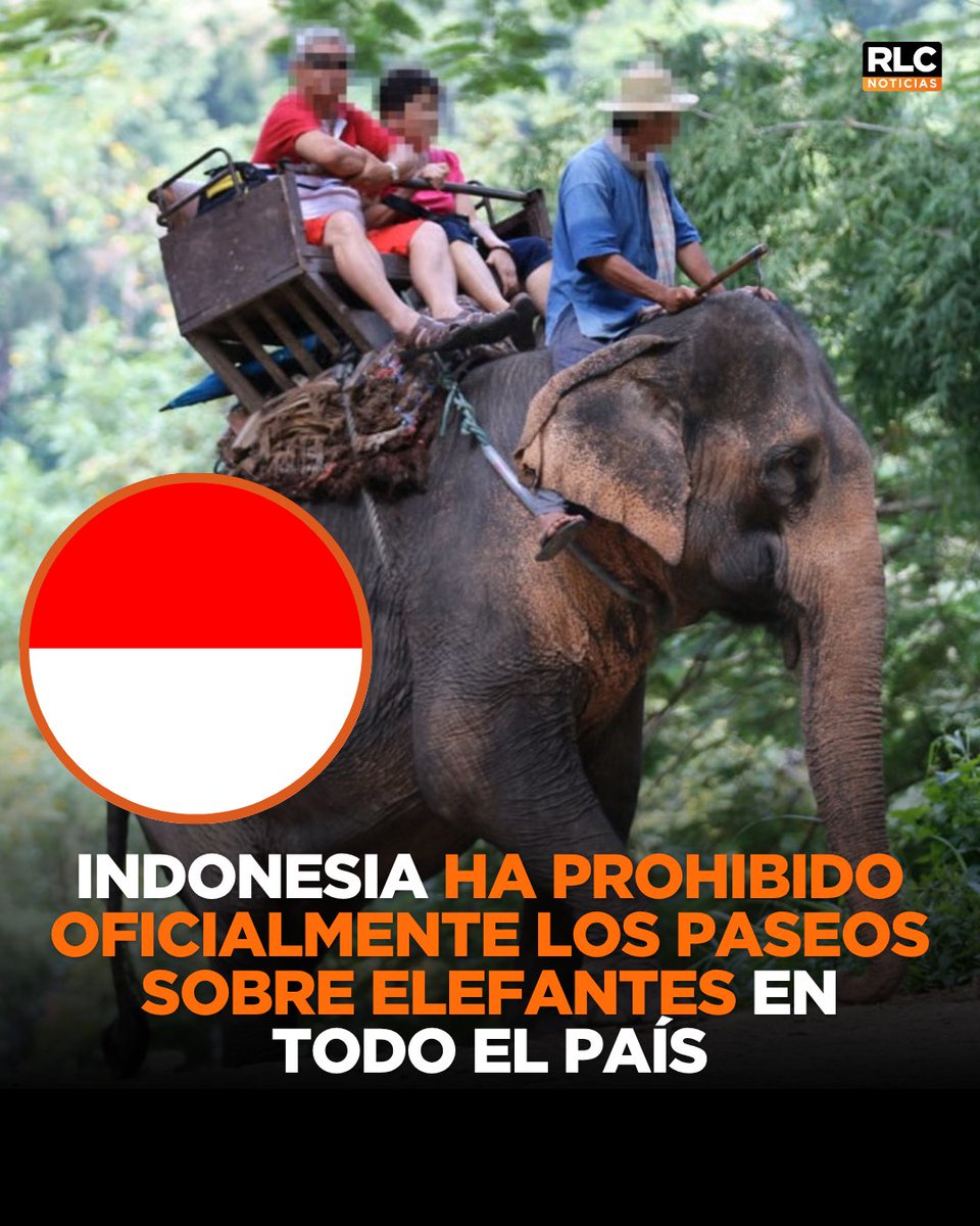 RLC Noticias tweet media