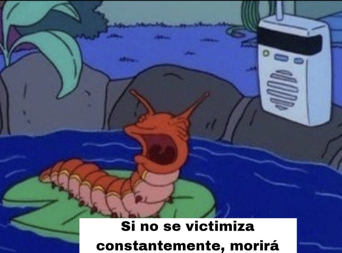 Chelsea en México 🇲🇽 tweet media