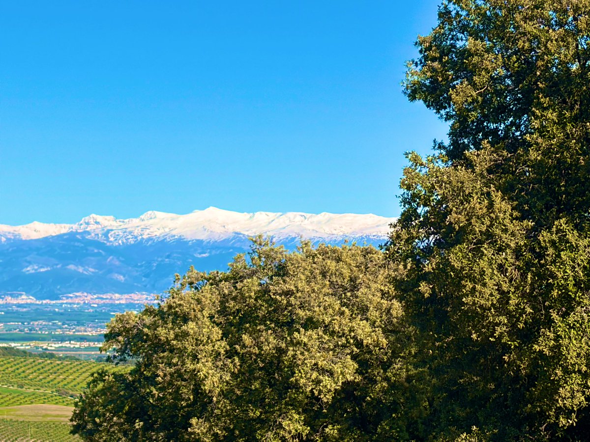 Granada_Meteo's tweet image. #SierraNevada desde el Poniente Granadino! Se puede observar la cantidad de nieve que hay en las cumbres más altas, todo desde Parapanda en Alomartes #Granada #ViernesSanto #SemanasantaGranada