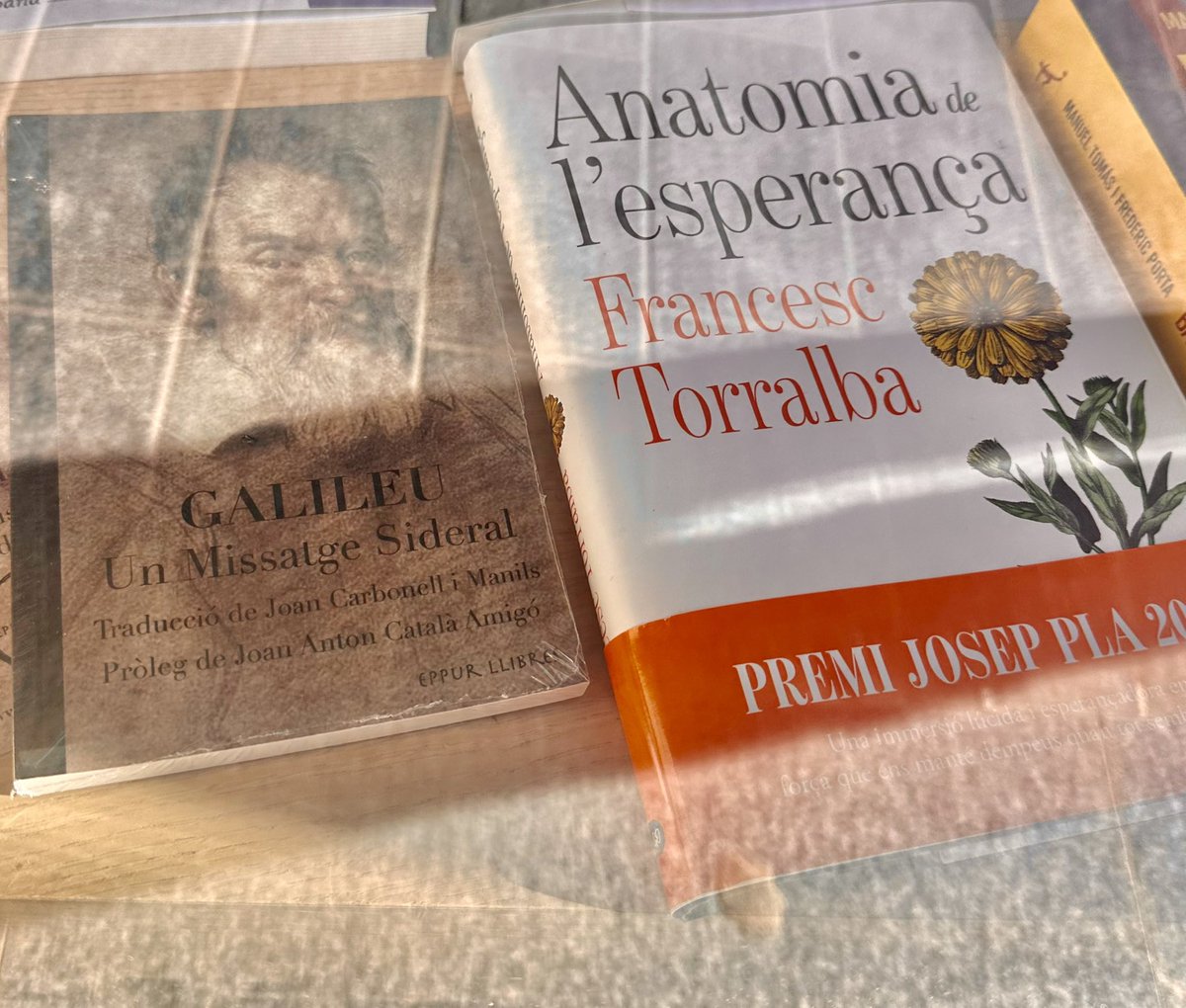 La Il·lusió de passejar un festiu i veure que ens han posat just al costat del gran <a href="/f_torralba/">Francesc Torralba</a>. Quina sort i quina meravella ser a prop de l’Anatomia de l’esperança. Galileu als peus del Premi Josep Pla 2026 📚