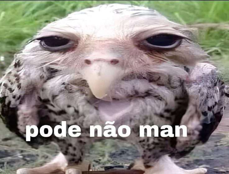 Manga 🥭 tweet media