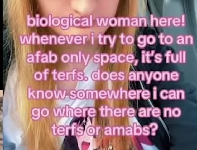 boykiller 2: kill harder tweet media