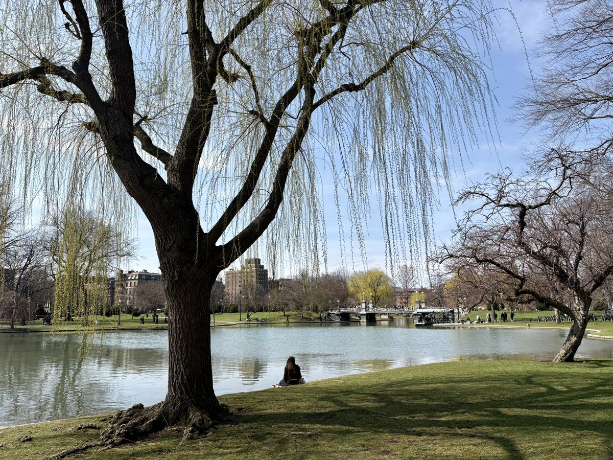 Kassie Epstein tweet media