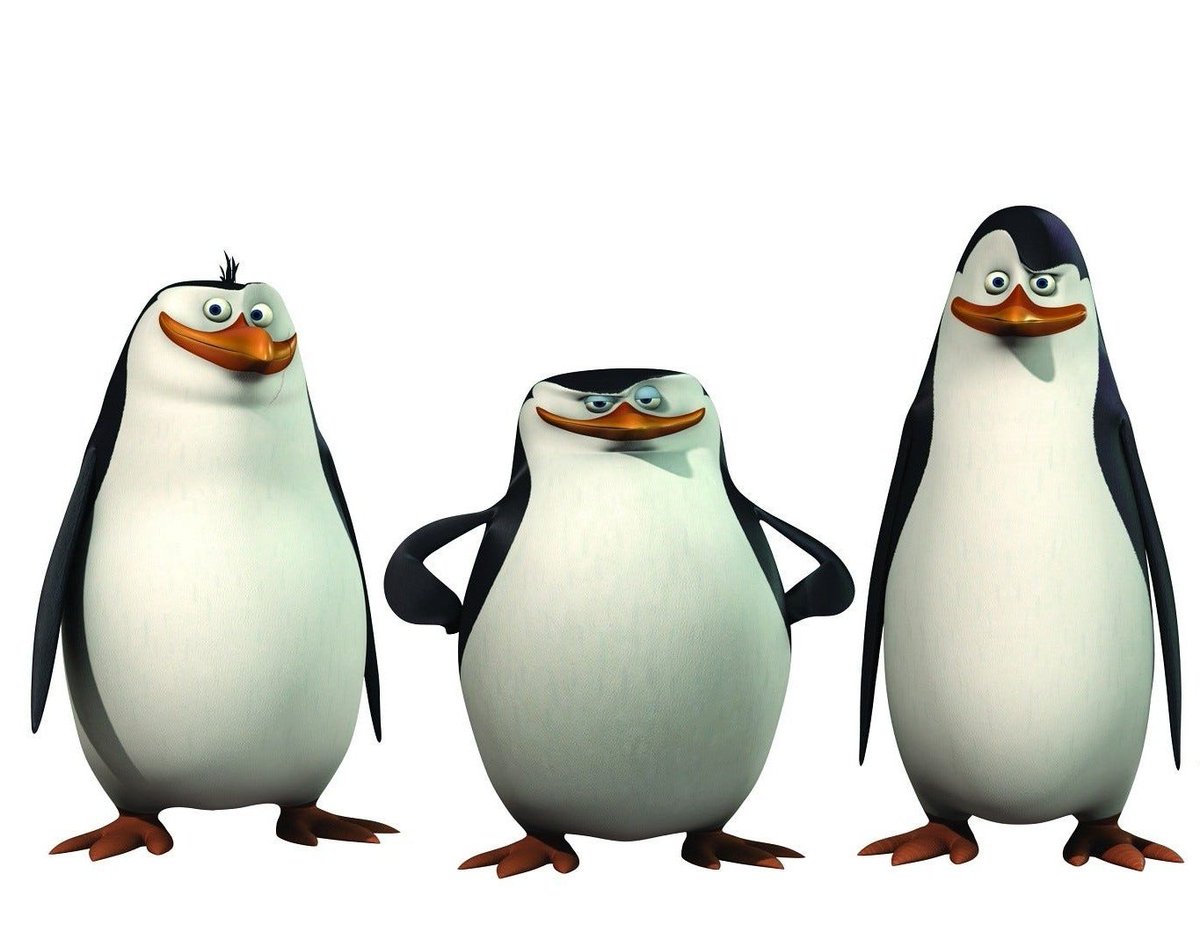 mari ֶָ֢ ࣪𓏲 tweet media