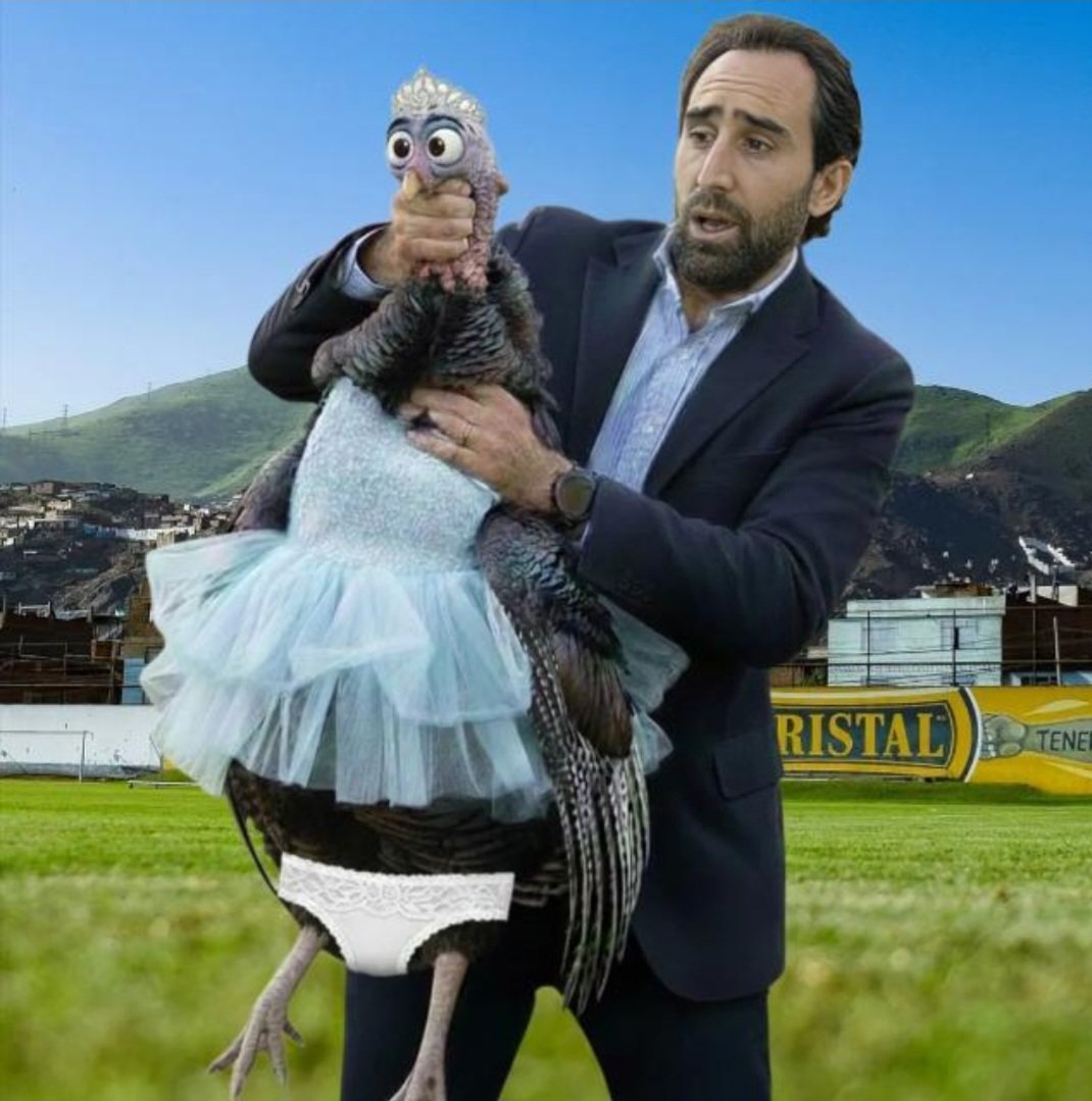 TheJournalist tweet media